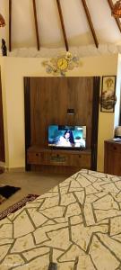 a bedroom with a tv and a bed in a room at Om Niwas Bhunga in Bhuj +11 photos