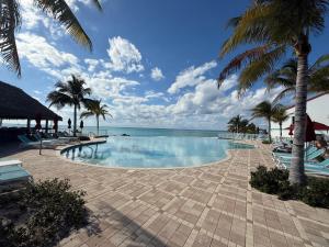 a swimming pool with palm trees and the ocean at Bimini Paradies South Bimini North Bimini Bahamas Bimini 10B Alice Town in South Bimini