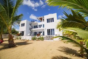 a white house with palm trees in front of it at Villa Armoniosa Spacious Beachfront 2BR with Pool - Lower Level in Placencia