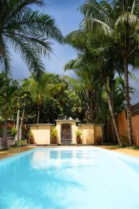 a large swimming pool with palm trees in the background at Maison D’hôtes Coignet in Rose Hill