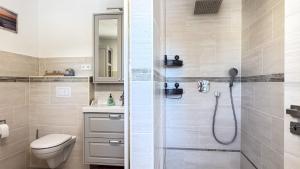 a bathroom with a shower and a toilet and a sink at Dat Lütte Glück in Pruchten