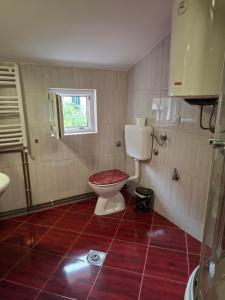 a bathroom with a toilet and a window at Apartments Iva in Kotor +90 photos