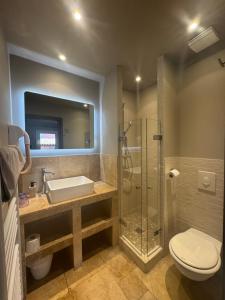 a bathroom with a shower and a toilet and a sink at L'Arche de Porquerolles in Porquerolles +111 photos