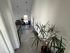 a hallway with plants in a room with a table at Thiels Mansion in Sankt Sebastian