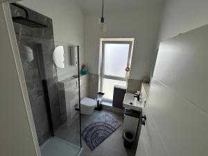 a bathroom with a shower and a toilet and a window at Thiels Mansion in Sankt Sebastian