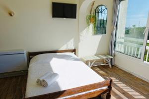 a bedroom with a bed and a tv and a window at Vacances au port in Saint-Cyprien-Plage