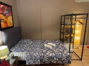 a bedroom with a bed and a book shelf at Studio Mulhouse in Mulhouse