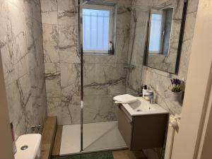 a bathroom with a shower and a sink at Studio Mulhouse in Mulhouse +37 photos