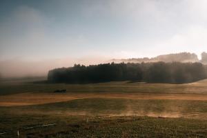 a foggy field with trees in the background at Individual room surrounded by nature in Sankt Georgen bei Salzburg