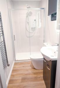 a bathroom with a shower and a toilet and a sink at Cozy Apartment in Dublin