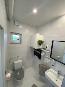 a white bathroom with a toilet and a sink at Bagoly in Fertőrákos