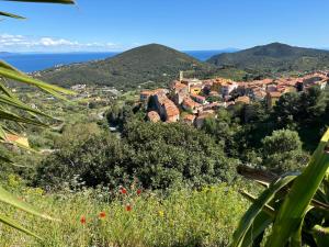 a view of a town with the ocean in the background at Villa Il Guardingo in Rio nellʼElba