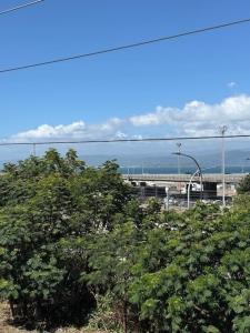 a group of trees with a bridge in the background at Stylish Private Apartment, Close to Ferry, Stadium, Parking in Wellington