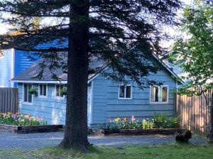 a blue house with a tree in front of it at Two Lakes Guesthouse in Seward