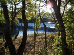 a view of a river through the trees at Casa Rural Parajes del Júcar in Casas de Benítez