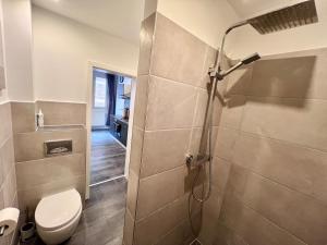 a bathroom with a shower with a toilet and a sink at Kleine Einraumwohnung am Fleth in Jork
