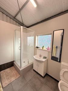 a bathroom with a shower and a sink and a toilet at Vineyard Cabin in Te Kauwhata