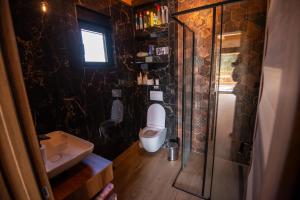 a bathroom with a shower and a toilet and a sink at Vila Planinski Vuk Zlatar Nova Varoš in Vukovina +50 photos