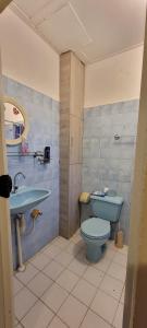 a bathroom with a blue toilet and a sink at Homey Haven in Willemstad +16 photos
