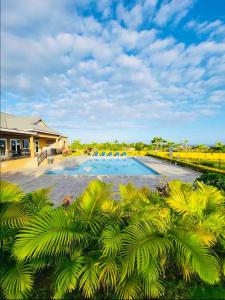 a swimming pool with palm trees in front of a house at Escape Beloved in Florence Hall