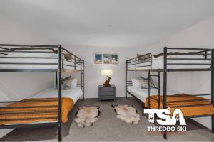 a room with three bunk beds and three dogs laying on the floor at Black Bear 402 in Thredbo