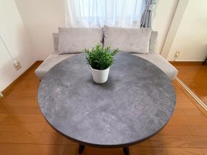 a table with a potted plant on it in a living room at OUCHI HOTEL Peace Memorial Park in Hiroshima