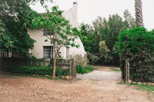 a white house with a fence and a tree at The Little Thatch Cottage in Greyton