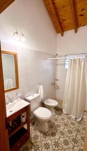 a bathroom with a toilet and a sink and a mirror at Quinta La Carlota in Navarro