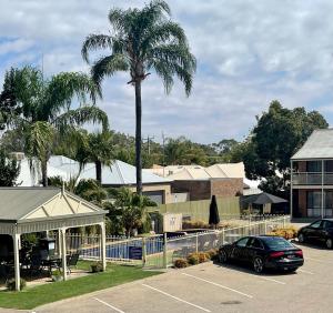 a car parked in a parking lot with a palm tree at Paddlewheel Motel in Echuca