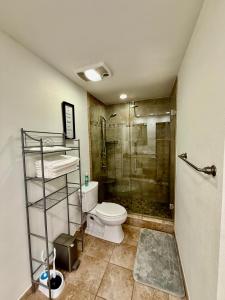 a bathroom with a toilet and a shower in it at Stunning Home in Plano! in Plano