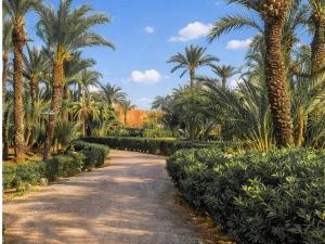 a road lined with palm trees and bushes at Stylish Apartment with Pool in Marrakech in Marrakesh