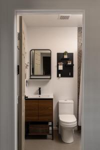 a bathroom with a white toilet and a mirror at Dark Star - Endless Stars, Cowboy Pool, Spa, Fire pit, BBQ in Twentynine Palms +46 photos