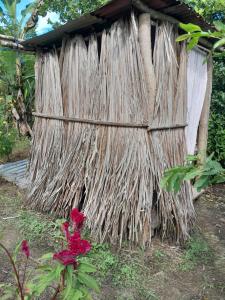 a thatched hut with a flower in front of it at Hostal Posada Turística El Bejuco in Leticia