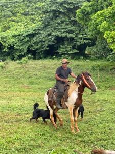 a man riding a horse and a dog in a field at Dreamvilles Ecovillage Bed and Breakfast near Playa Aserradero in Las Galeras