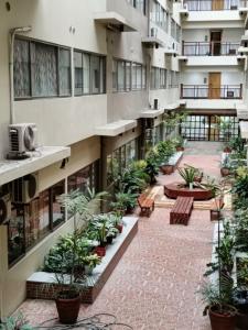 an apartment courtyard with potted plants and benches at Condotel in Baguio City in Baguio