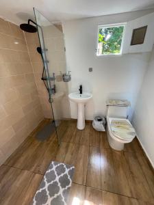 a bathroom with a toilet and a sink at Dreamvilles Ecovillage Bed and Breakfast near Playa Aserradero in Las Galeras +41 photos