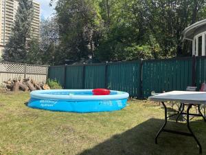 a blue frisbee and a red frisbee in a pool at Restly an Elegant Home by Whyte Ave in Edmonton