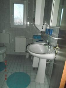 ein Bad mit einem Waschbecken und einem WC in der Unterkunft Ferienhaushälfte Lütow in Lütow