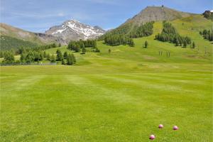 a golf course with pink balls on a green field at Appartamento Alpine Suite - Happy Rentals in Sestriere