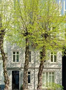 two trees in front of a white building at Architektenwohnung in der Sternschanze in Hamburg