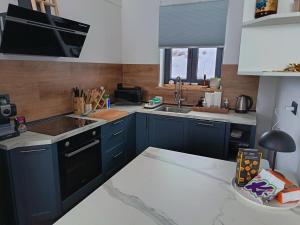 a kitchen with blue cabinets and a sink at Vrh house in Ravna Gora