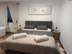 a bedroom with two beds with pillows on it at Vrh house in Ravna Gora +16 photos