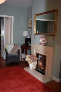 a living room with a fireplace and a mirror at Monkstown Private House Homestay in Dun Laoghaire