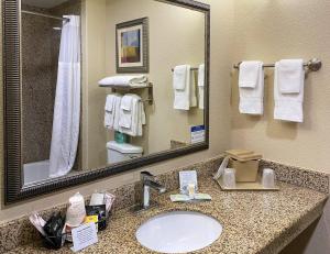 a bathroom with a sink and a mirror at Comfort Suites Kings Bay Naval Base Area in Kingsland +22 photos