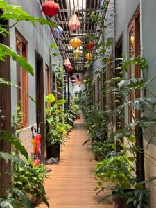an empty hallway with potted plants and lights at Vania House in Ho Chi Minh City
