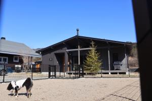 a cow standing in front of a building at Manabi-WAN Takayama in Takayama