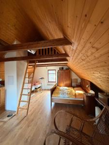 a bedroom with a loft bed and a ladder at Chata Anežka in Stará Ves