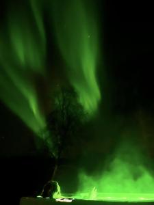 a person is looking up at the northern lights at Private log villa by the Ivalo River in Ivalo