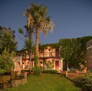 a building with a palm tree in front of it at Kalypso Hotel in Malia