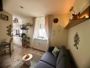 ein Wohnzimmer mit einer blauen Couch und einem Fenster in der Unterkunft Chill Home in Klagenfurt am Wörthersee
